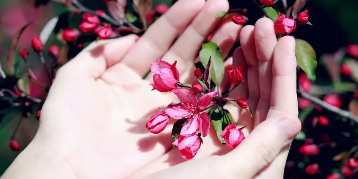 Featured image of post How to Tell If a Guy Is Trustworthy: Just Look at These Three Details